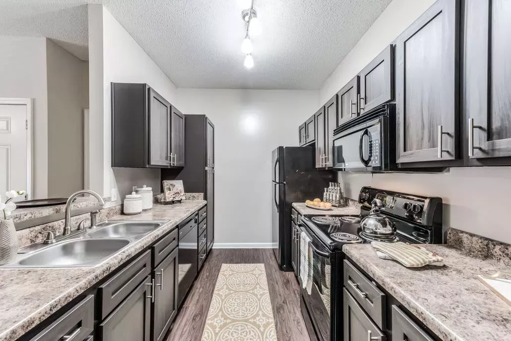 Modern kitchen with sleek black cabinetry, granite countertops, and stainless steel appliances at The Landings of Conroe Apartments.