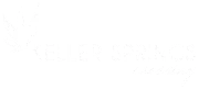 White Logo for Keller Springs Crossing