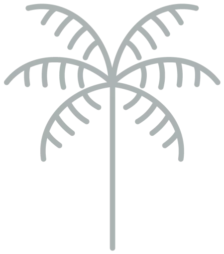 miro brickell palm tree